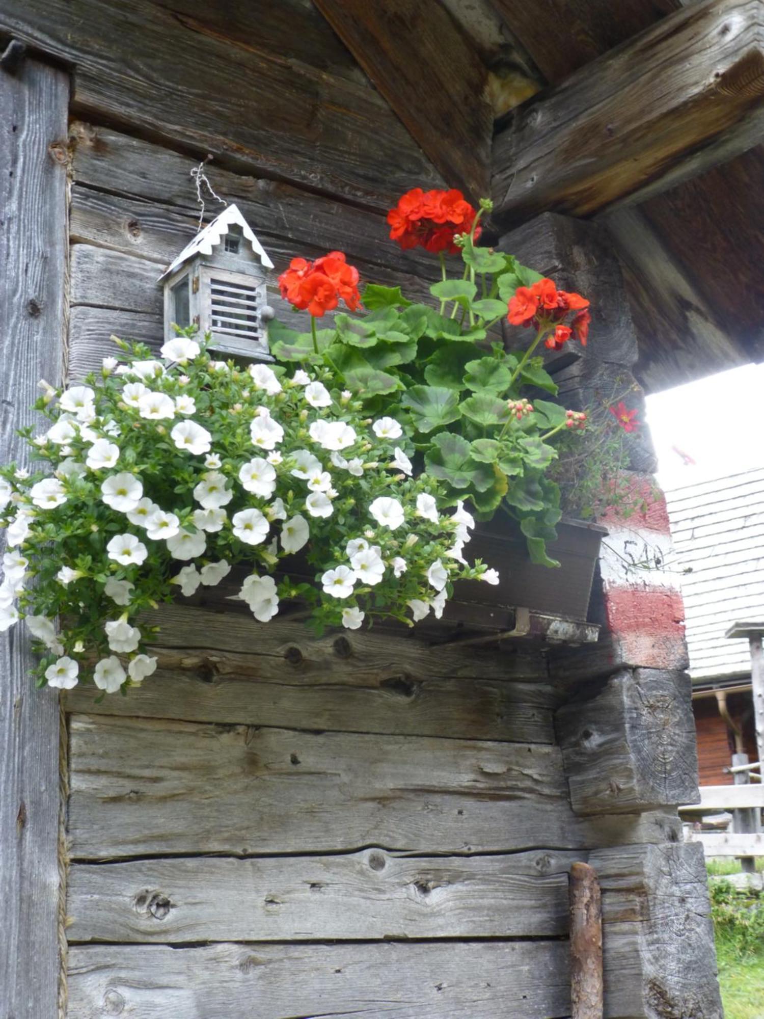 B&B,Bergheimat Oase Irschen 외부 사진
