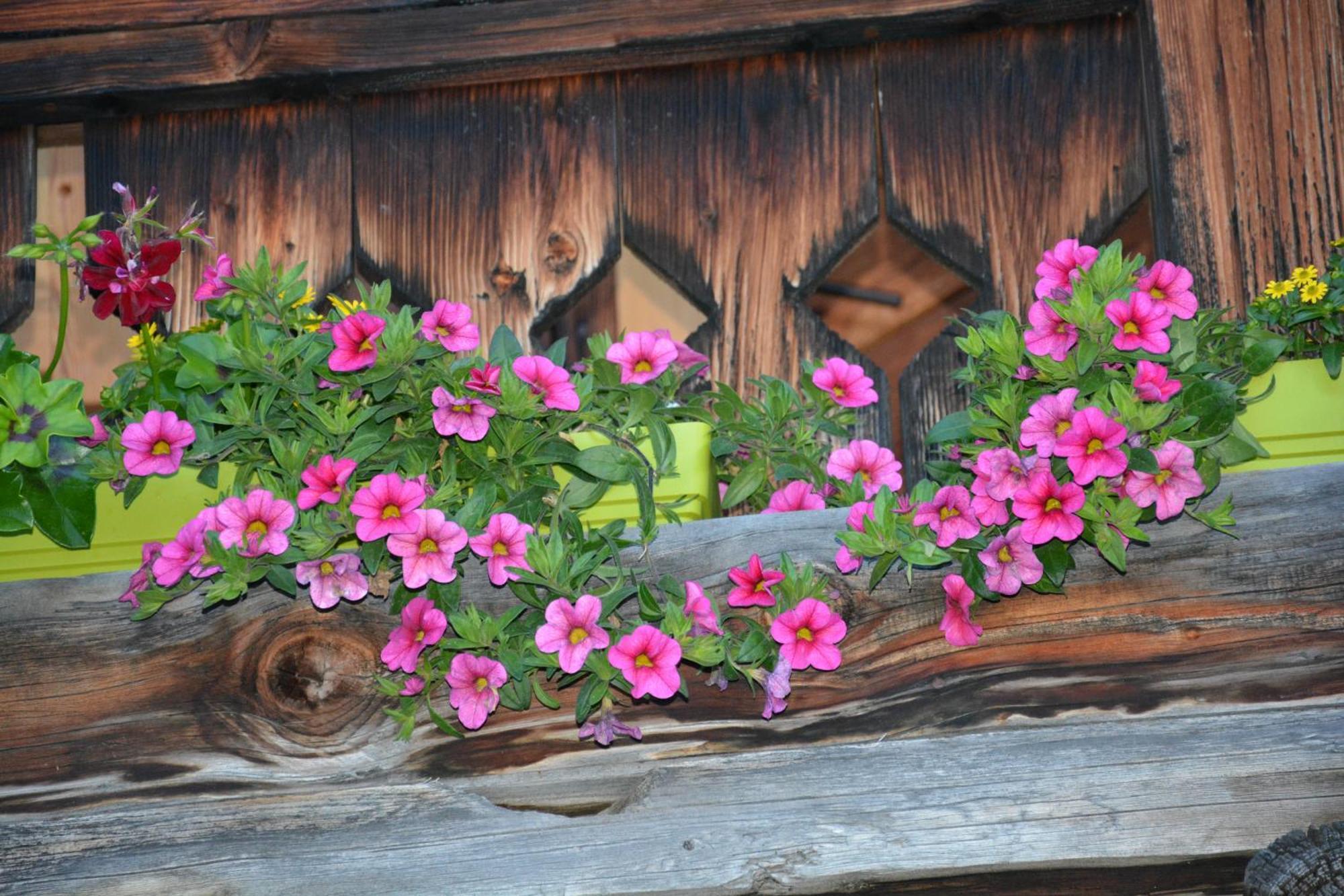 B&B,Bergheimat Oase Irschen 외부 사진